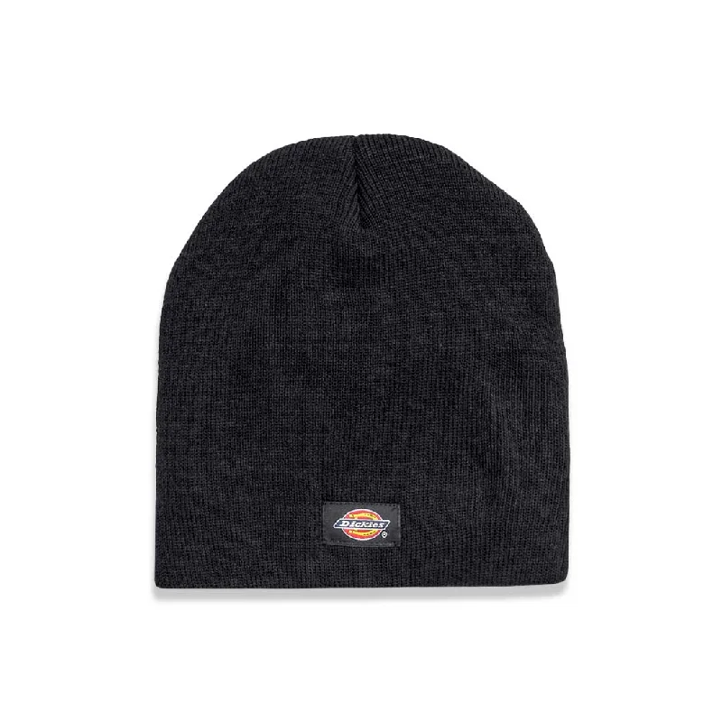 stylish bowler hatsDickies - Knit Insulated Beanie (WH202 BK)